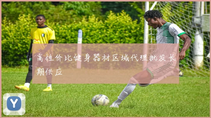 高性价比健身器材区域代理批发长期供应