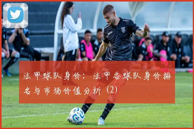 法甲球队身价：法甲各球队身价排名与市场价值分析 (2)